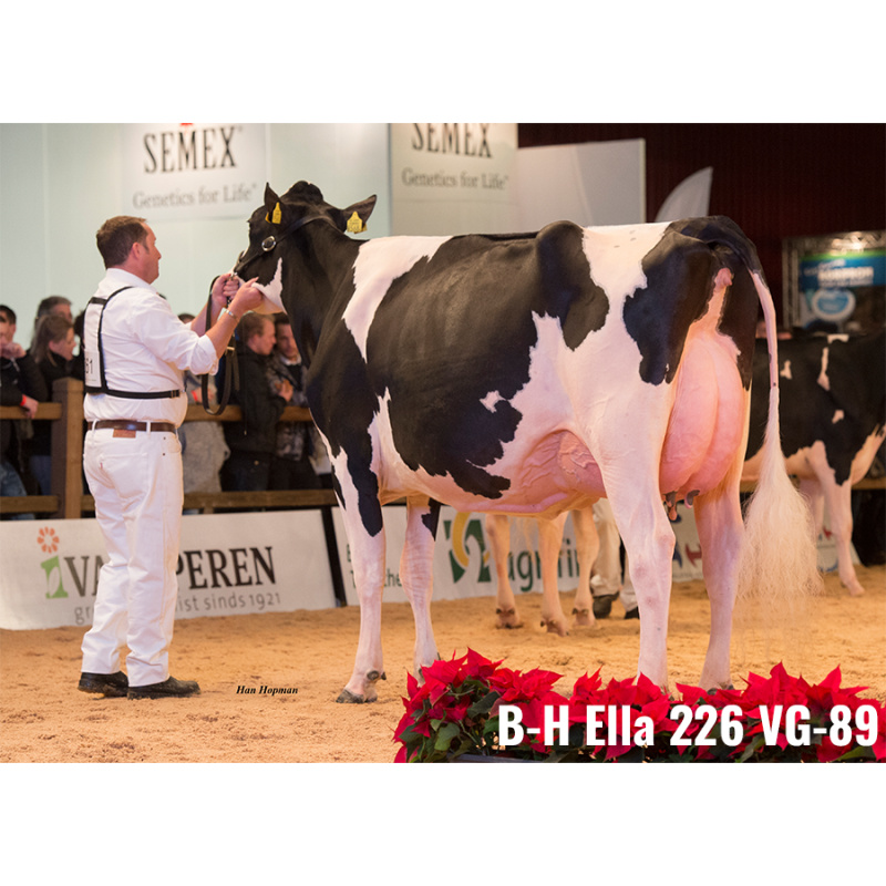 LOT Nr 2: BONS-HOLSTEINS ELLA 298