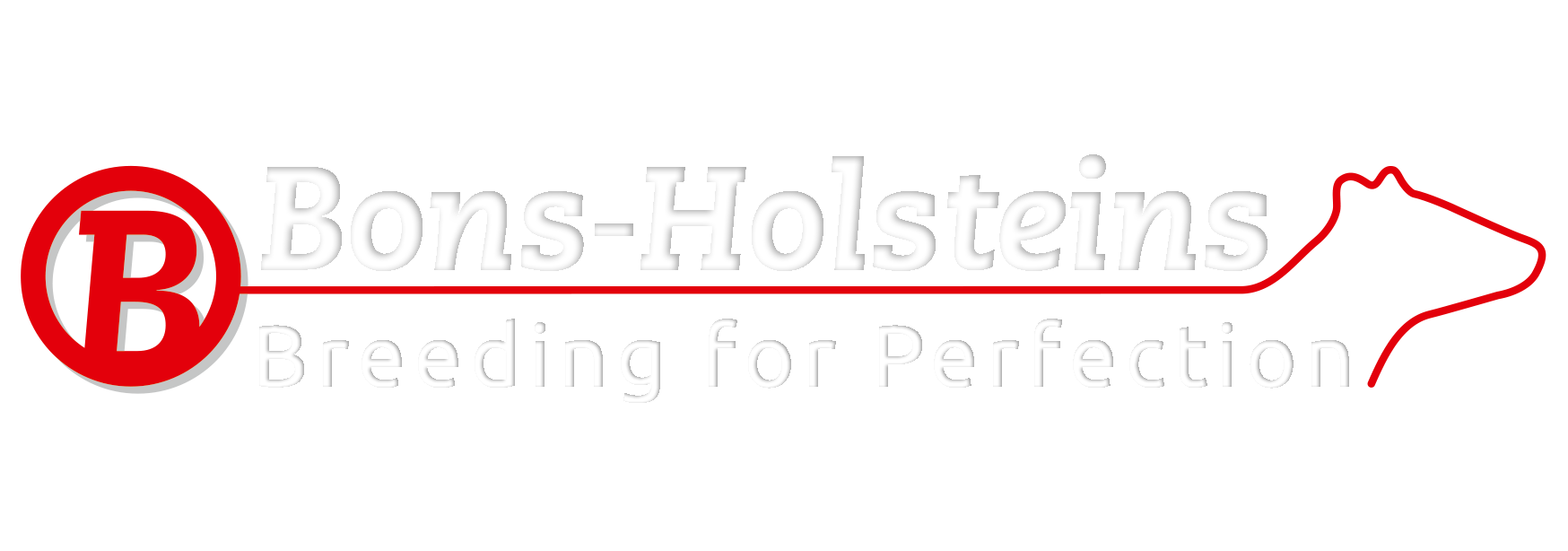 Bons Holsteins Auction
